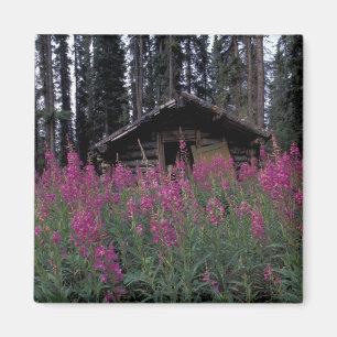 Noord-Amerika, Canada, Yukon. Verlaten vallenstell Magneet