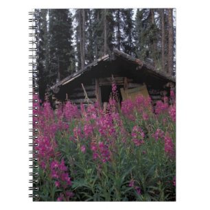 Noord-Amerika, Canada, Yukon. Verlaten vallenstell Notitieboek