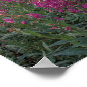 Noord-Amerika, Canada, Yukon. Verlaten valletjes Poster (Hoek)