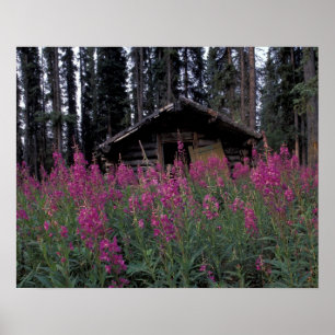 Noord-Amerika, Canada, Yukon. Verlaten valletjes Poster