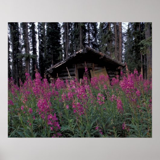 Noord-Amerika, Canada, Yukon. Verlaten valletjes Poster (Voorkant)