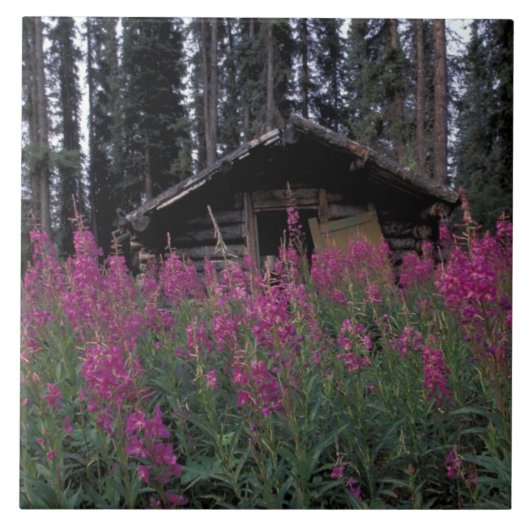 Noord-Amerika, Canada, Yukon. Verlaten valletjes Tegeltje (Voorkant)