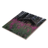 Noord-Amerika, Canada, Yukon. Verlaten valletjes Tegeltje (Zijkant)