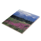 Noord-Amerika, Canada, Yukon. Vuurbloemen Tegeltje (Zijkant)