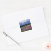 Noord-Amerika, Canada, Yukon. Vuurbloemen Vierkante Sticker (Envelop)