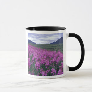 Noord-Amerika, Canada, Yukon. Wilgenroosje bloeit Mok