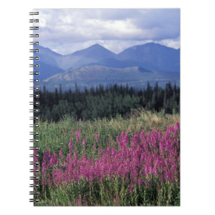 Noord-Amerika, Canada, Yukon. Wilgenroosje bloeit Notitieboek