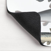 Noord-Amerika Catfish Groep Muismat (Hoek)