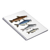 Noord-Amerika Catfish Groep Notitieboek (Rechterzijde)