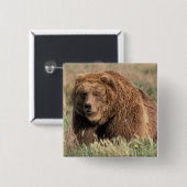 Noord-Amerika, de Verenigde Staten, Alaska, Kodiak Vierkante Button 5,1 Cm (Voorkant /achterkant)