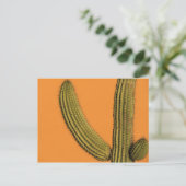 Noord-Amerika, Mexico, Baja California, Cabo Briefkaart (Staand voorkant)