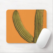 Noord-Amerika, Mexico, Baja California, Cabo Muismat (Met muis)