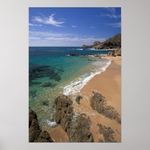 Noord-Amerika, Mexico, Baja California Sur, Poster