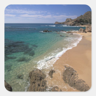 Noord-Amerika, Mexico, Baja California Sur, Vierkante Sticker