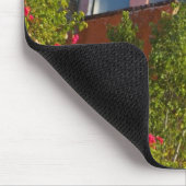 Noord-Amerika, Mexico, deelstaat Guanajuato, San 4 Muismat (Hoek)