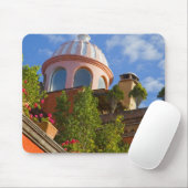 Noord-Amerika, Mexico, deelstaat Guanajuato, San 4 Muismat (Met muis)