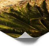 Noord-Amerika, Mexico, deelstaat Guanajuato, San Poster (Hoek)