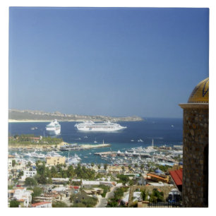 Noord-Amerika, Mexico, Staat Baja California 2 Tegeltje