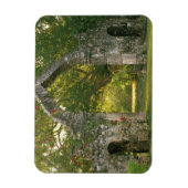 Noord-Amerika, Mexico, Yucatan schiereiland, Magneet (Verticaal)