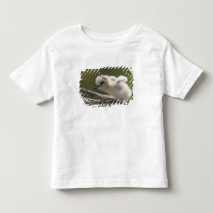 Noord-Amerika, noordwestelijke Hawaïaanse eilanden Kinder Shirts