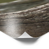 Noord-Amerika, Noordwestelijke Hawaiiaanse eilande Foto Afdruk (Hoek)