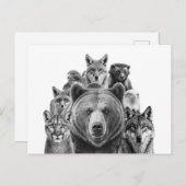 Noord-Amerika Predators Woodlanddieren Briefkaart (Voorkant / Achterkant)