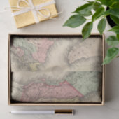 Noord-Amerika Tissuepapier (Geschenk)