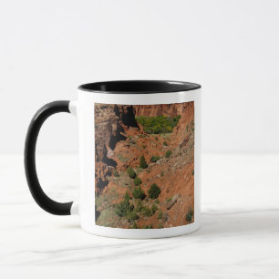 Noord-Amerika, Verenigde Staten, Arizona, Navajo-i Mok