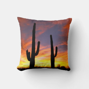 Noord-Amerika, Verenigde Staten, Arizona, Sonorawo Kussen