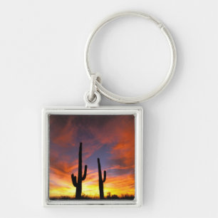 Noord-Amerika, Verenigde Staten, Arizona, Sonorawo Sleutelhanger