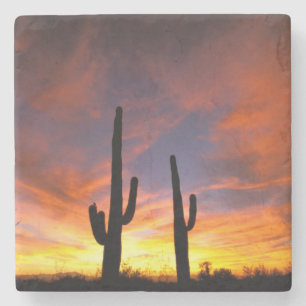 Noord-Amerika, Verenigde Staten, Arizona, Sonorawo Stenen Onderzetter