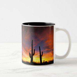 Noord-Amerika, Verenigde Staten, Arizona, Sonorawo Tweekleurige Koffiemok