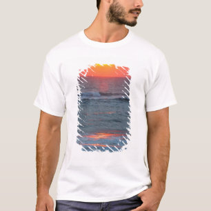 Noord-Amerika, Verenigde Staten, Florida, Canavera T-shirt