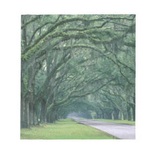 Noord-Amerika, Verenigde Staten, Georgia, Savannah Notitieblok