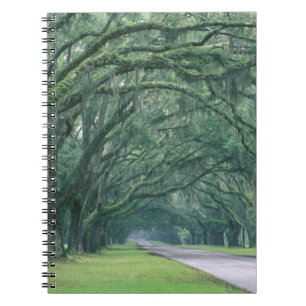 Noord-Amerika, Verenigde Staten, Georgia, Savannah Notitieboek