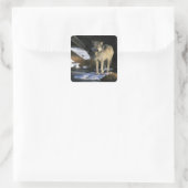 Noord-Amerika, Verenigde Staten, Minnesota. Wolf ( Vierkante Sticker (Tas)