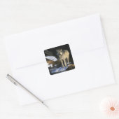 Noord-Amerika, Verenigde Staten, Minnesota. Wolf ( Vierkante Sticker (Envelop)