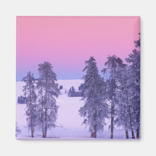 Noord-Amerika, Verenigde Staten, Montana, Yellowst Magneet