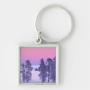 Noord-Amerika, Verenigde Staten, Montana, Yellowst Sleutelhanger
