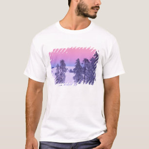 Noord-Amerika, Verenigde Staten, Montana, Yellowst T-shirt