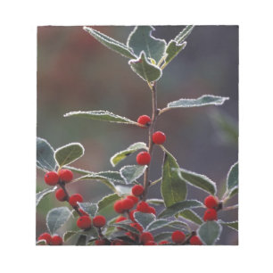 Noord-Amerika, Verenigde Staten, New England. Holl Notitieblok