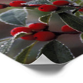 Noord-Amerika, Verenigde Staten, New England. Holl Poster (Hoek)