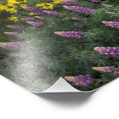 Noord-Amerika, Verenigde Staten, Oregon, Columbia Foto Afdruk (Hoek)