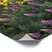 Noord-Amerika, Verenigde Staten, Oregon, Columbia  Poster (Hoek)