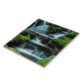 Noord-Amerika; Verenigde Staten; Washington, Sol D Tegeltje (Zijkant)