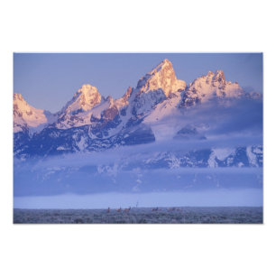 Noord-Amerika, Verenigde Staten, Wyoming, Grand Te Foto Afdruk