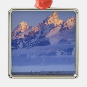 Noord-Amerika, Verenigde Staten, Wyoming, Grand Te Metalen Ornament