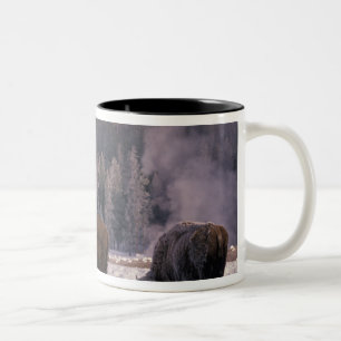 Noord-Amerika, Verenigde Staten, Wyoming, Yellowst Tweekleurige Koffiemok