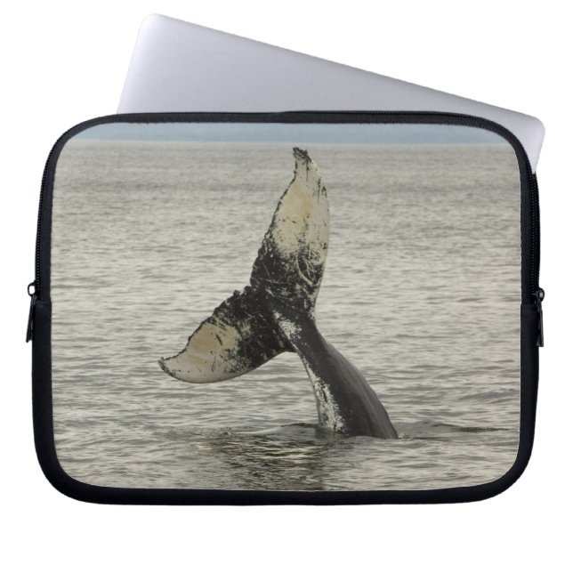 Noord-Amerika, VS, AK, Inside Passage. Bultrug Laptop Sleeve (Voorkant)