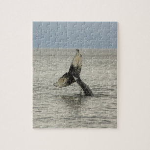 Noord-Amerika, VS, AK, Inside Passage. Bultrug Legpuzzel